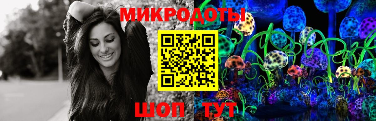 Галлюциногенные грибы ЛСД Гусиноозёрск